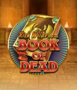 Enter the thrilling world of Book of Dead by Play'n GO, presenting vivid graphics of Rich Wilde’s adventurous journey through ancient Egyptian tombs and artifacts. Discover lost riches with captivating mechanics like free spins, expanding symbols, and a gamble option. Ideal for adventure enthusiasts with a desire for thrilling discoveries.